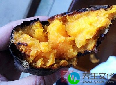 小贩们都用化工油桶改当烤炉带有黑斑病菌