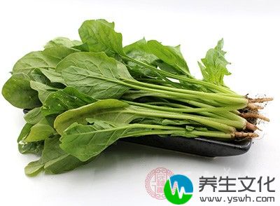 不能吃如韭菜、大蒜、咖啡等刺激性的食物，如果实在想吃，也应尽量少吃。多吃水果蔬菜