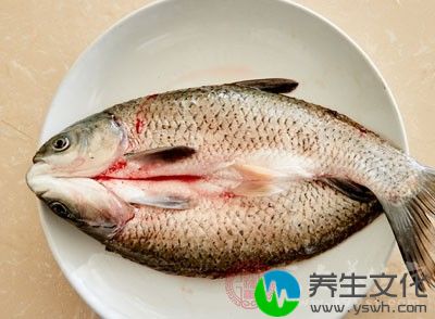 食材：大鲤鱼1000克。 姜10克、葱15克、蒜末10克、精盐5克、酱油10克