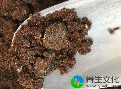 面粉100克，玉米淀粉50克，泡打粉5克，红糖少许，清水100克