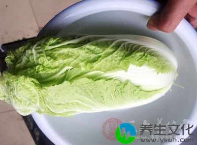 白菜便于储存是人们经常食用的蔬菜