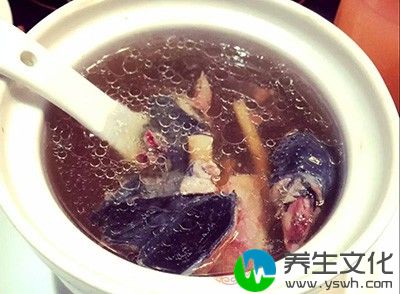 原料：乳鸽1只，银耳10克，瘦肉150克