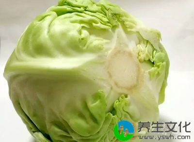 圆白菜才是菜中之王，它能治百病