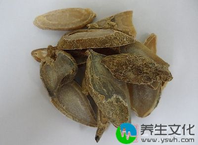 白术12克茯苓30克