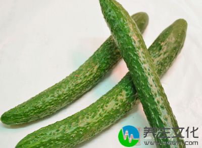 生黄瓜一根，紫菜汤