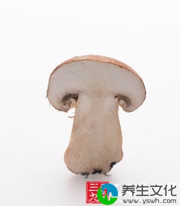 驼背等6大不良姿势毁掉白领胸部 