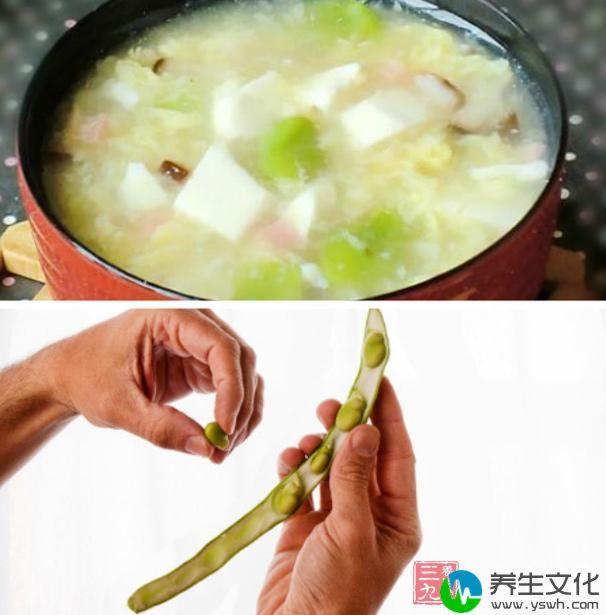 蚕豆豆腐煲