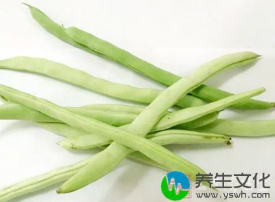 四季豆也是很容易引起中毒的食物