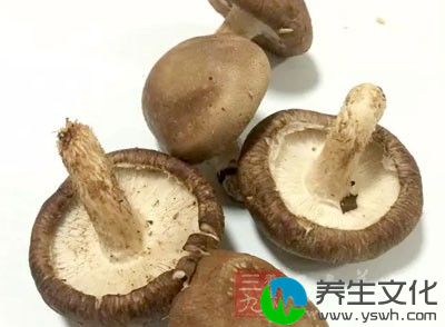 香菇中有大量的维生素、无机盐、多种微量元素和氨基酸