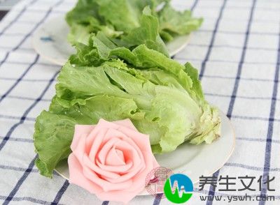 女性经期能吃生菜吗