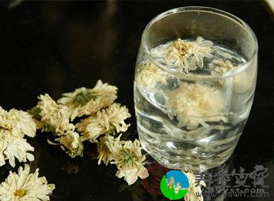 平时可以让自己喝点菊花茶