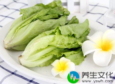 生菜不仅好吃，而且营养价值相当的丰富哦