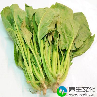 研究已经证实菠菜能降血压