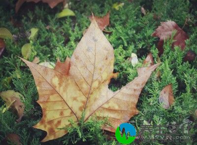 在雨后出门散步这时候空气中的花粉含量极低