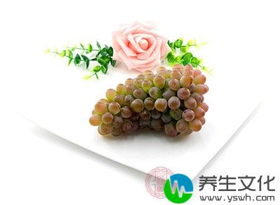 葡萄籽含有多种氨基酸、维生素、矿物质，具有保护血管、降低血脂、抗自由基、保护皮肤等保健、美容作用