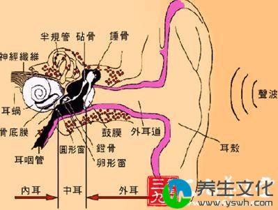 听神经鞘瘤