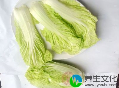 隔夜的熟白菜和未腌透的大白菜不宜食用