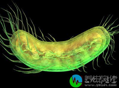 由于细菌及分泌物积存于扁桃体窝导致的