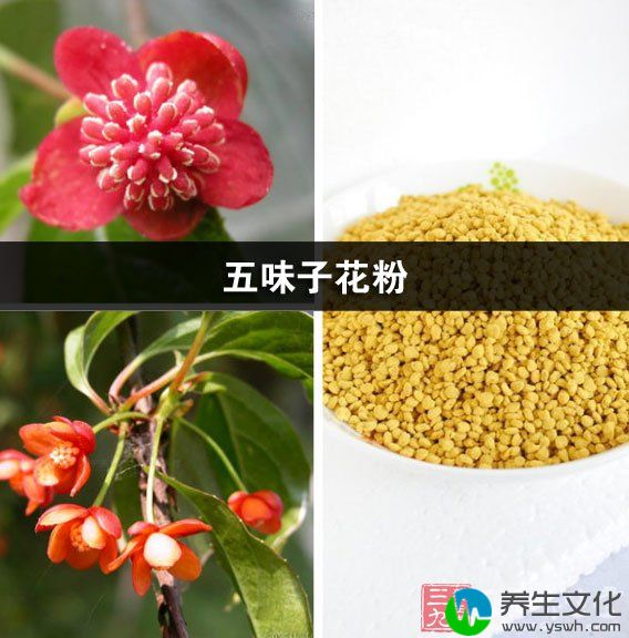 五味子花粉的功效与作用