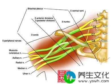 周围神经损伤