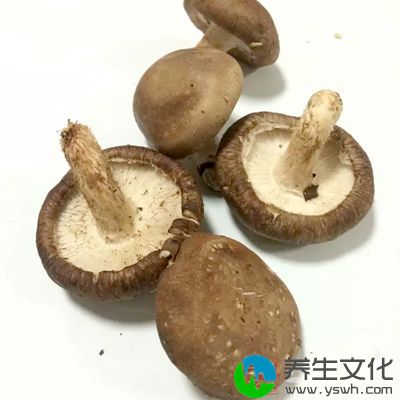 像我们平时所吃的蘑菇类还有一些海藻类的食物