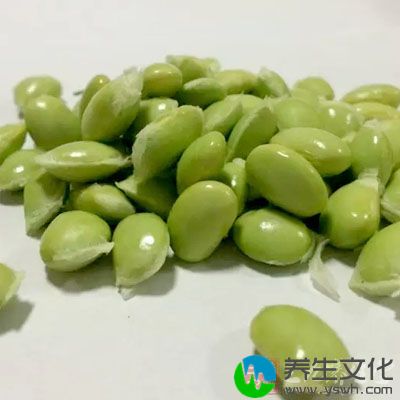 毛豆是我们大家都非常爱吃的食物