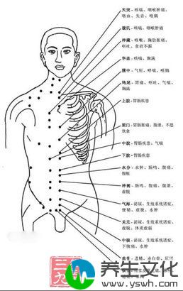 人体穴位