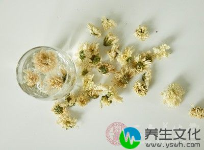 适用于目赤肿痛，眼目昏花，风热感冒，头痛眩晕等症