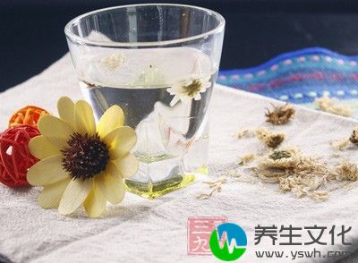 菊花对治疗眼睛疲劳、视力模糊有很好的疗效