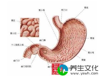 贲门癌