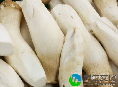 经常食用杏鲍菇可降低人体血液中的胆固醇含量