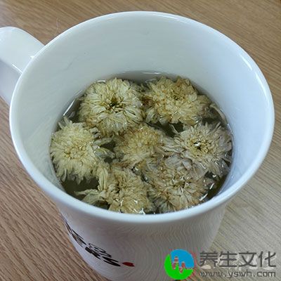 菊花茶起着抵抗电脑辐射和调节身体功能的作用