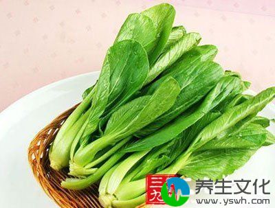 养胃的食物