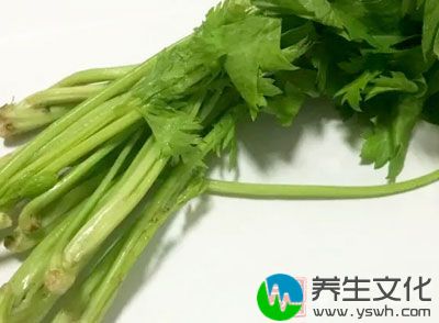 芹菜味甘性凉，入肺、胃、肝经