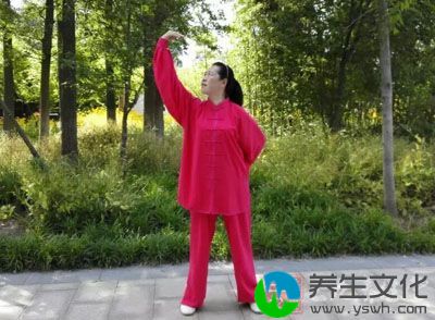 杨式太极拳24式对人体各系统的疗效