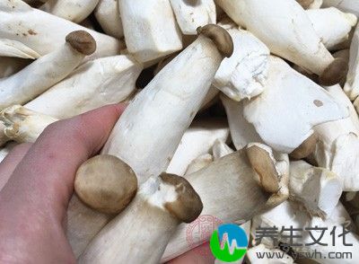 主要有蘑菇、香菇等，过食这类食物易致动风升阳