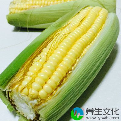 玉米含有大量膳食纤维，是粗粮中的保健佳品