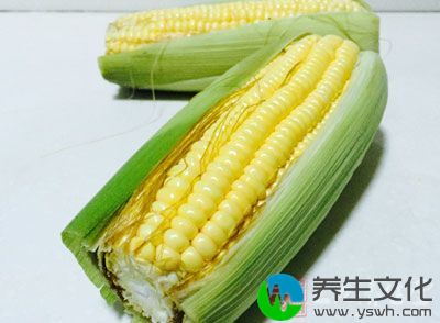 糯玉米营养丰富，食用价值高，被当今世界广泛用作保健的营养食物