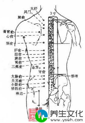 经络穴位