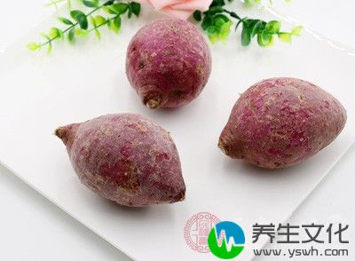 甘薯是一种药食兼用的健康食品