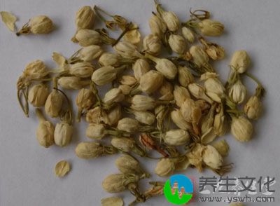 多喝茉莉花茶能抗菌消炎