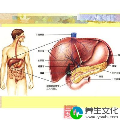 如肾水不足，可使大便干燥秘结，或小便量少;命门之火不足，又可引起泄泻或小便不禁等病症。