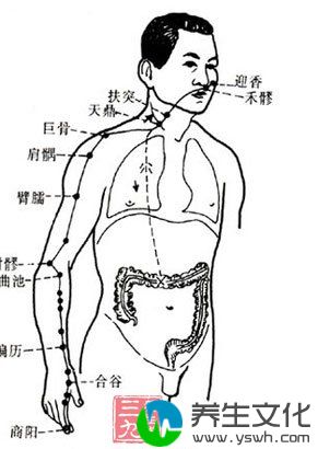 柱骨的位置