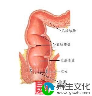 结肠直肠损伤