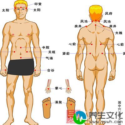 指位于胸腹部体表和脏腑生理、病理反应有密切关系的一些反应点