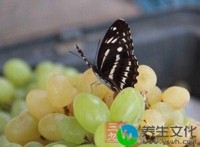 可供维生素的食物:水果、蔬菜