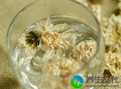 菊花茶去除口臭