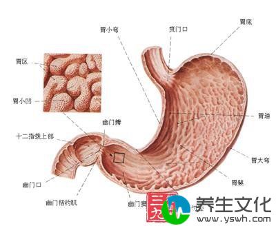 胃、十二指肠溃疡合并出血