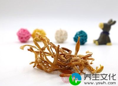 黄花菜致命毒素