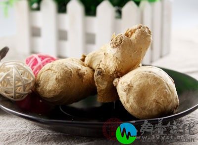 生姜含有挥发油、姜辣素等成分，具有特殊的香辣味，常作为烹调菜肴的佐料。但是，牛肉不宜加生姜作佐料